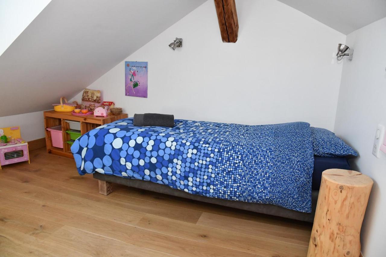 Au Cheval Blanc - Appartements Et Chambres D'Hotes Альбервиль Экстерьер фото